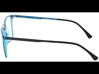 Jaguar Brille Herren Jaguar 36822 55 3100 Ansicht 2