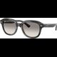 Ray-Ban Erik RB4398 140432