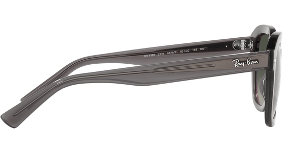 Ray-Ban Erik RB4398 667571 - Ansicht 10