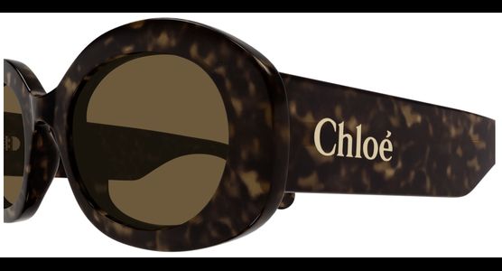 Chloé CH0258S 53 Havanna - Ansicht 4