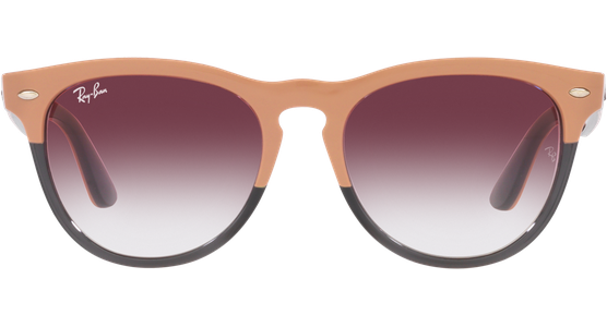 Ray-Ban Iris RB4471 66338H - Ansicht 13