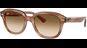 Ray-Ban Erik RB4398 140351