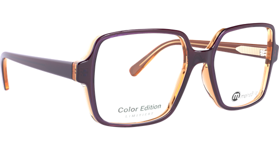 meineBrille 04-60080-02 - Ansicht 6