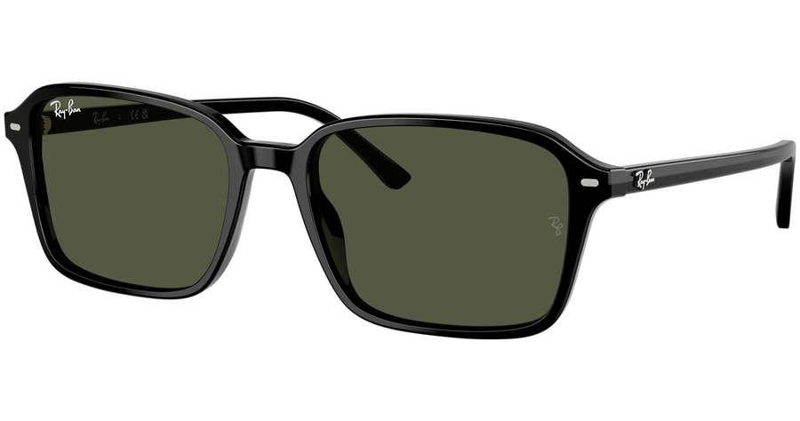 Ray-Ban Raimond RB2231 901/31 - Sonnenbrille Unisex - Fassung: Schwarz, Acetat, Eckig