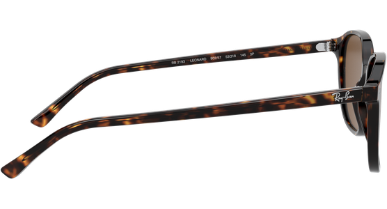Ray-Ban Leonard RB2193 902/57 - Ansicht 10