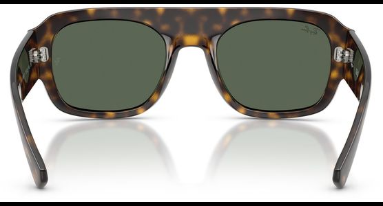 Ray-Ban RB2218 679071 - Ansicht 5