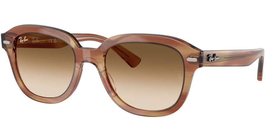 Ray-Ban Sonnenbrille Unisex Ray-Ban Erik RB4398 140351 Ansicht 1