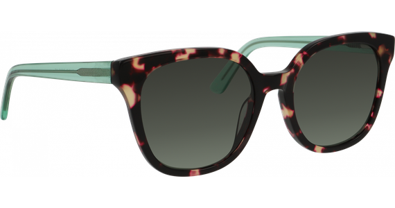 meineBrille 14-46140-01 havanna-pink/grün - Ansicht 5
