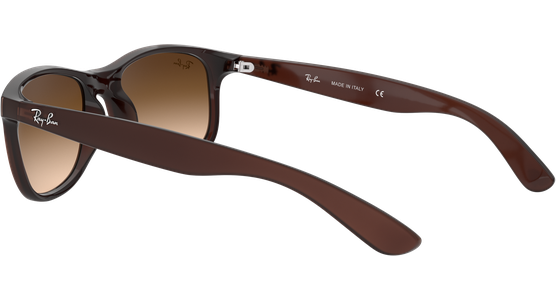 Ray-Ban RB4202 Andy Braun 607313 55 - Ansicht 9