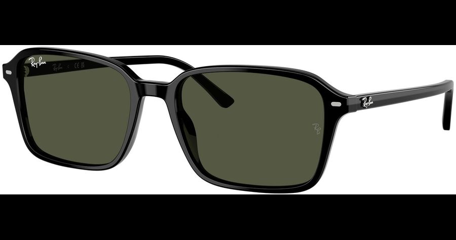 Ray-Ban Raimond RB2231 901/31 - Sonnenbrille Unisex - Fassung: Schwarz, Acetat, Eckig