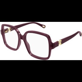  Chloé CH0335O 54 005