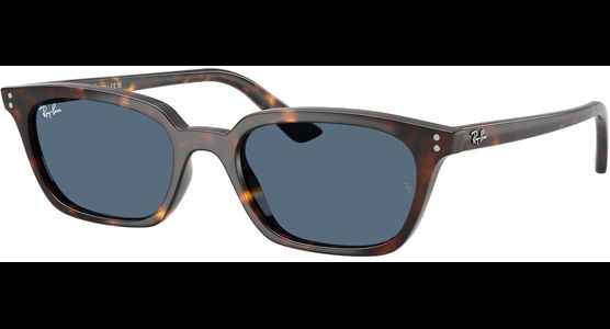 Ray-Ban Zaya Bio-Based RB4456 135980 - Ansicht 2