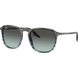 Ray-Ban RB2203 1391GK Sonnenbrille