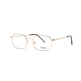 FRAIMS 03-97240-02 Taylor, Gold Matt Brille