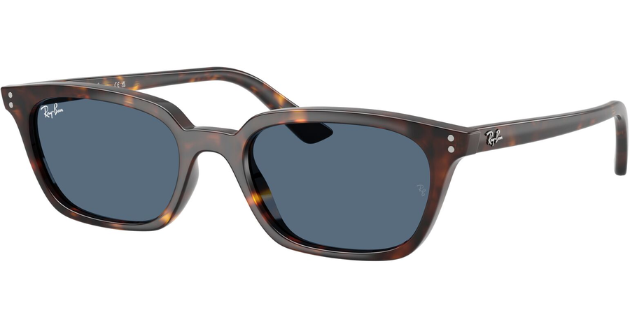  Ray-Ban RB4456 135980 Ansicht 1