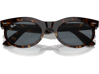 Ray-Ban Sonnenbrille Unisex Ray-Ban Wayfarer Oval RB2242 902/R5 Ansicht 5