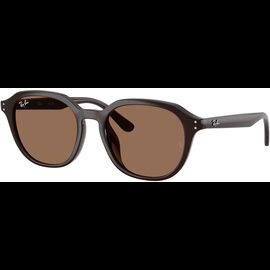 Ray-Ban Sonnenbrille Unisex Ray-Ban RB4459D 623173