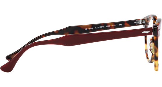 Ray-Ban RX5598 8250 - Ansicht 10