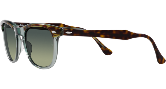 Ray-Ban Eagle Eye RB2398 1376BH - Ansicht 3