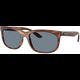 Ray-Ban Balorette RB2389 954/62