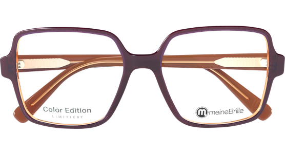 meineBrille 04-60080-02 - Ansicht 7