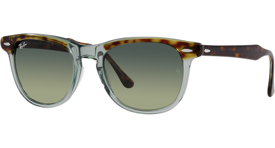 Ray-Ban Eagle Eye RB2398 1376BH - Ansicht 2