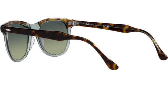Ray-Ban Eagle Eye RB2398 1376BH - Ansicht 5