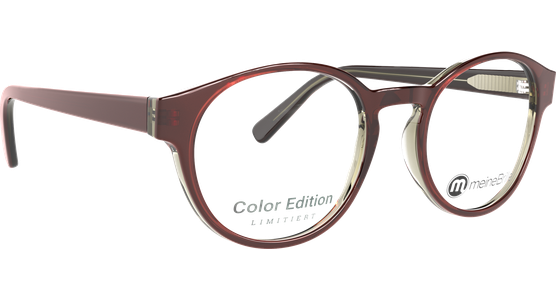 meineBrille 04-60100-02 - Ansicht 6