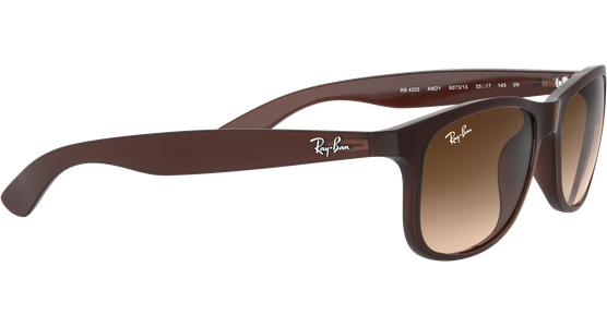 Ray-Ban RB4202 Andy Braun 607313 55 - Ansicht 15