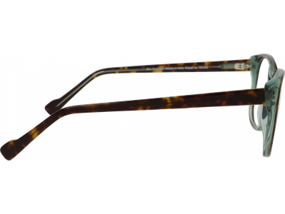 FRAIMS Brille Damen FRAIMS NATURE 03-31110-02 Hazel Havanna / Salbei transparent glänzend Ansicht 3