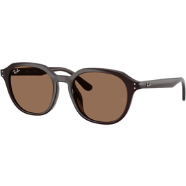 Ray-Ban Sonnenbrille Unisex Ray-Ban RB4459D 623173