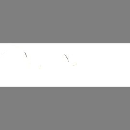Hugo Boss Brille Damen Hugo Boss BOSS 1868 53 000
