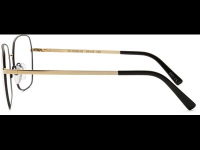 FRAIMS Brille Damen FRAIMS 03-15000-02 Dionne, Schwarz/Gold Ansicht 3