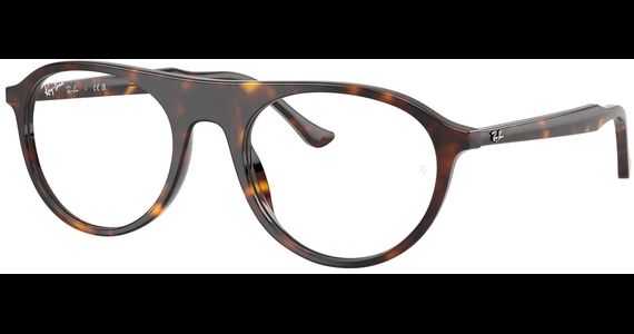 Ray-Ban RX5441 2012 - Ansicht 2