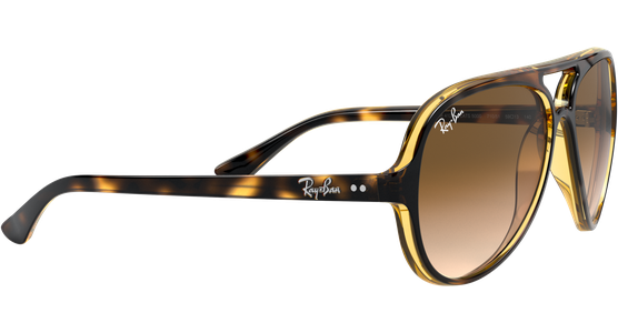 Ray-Ban CATS 5000 CLASSIC RB4125 710/51 - Ansicht 11
