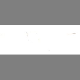 meineBrille 04-12040-02, Weiß/Gold Schräg links