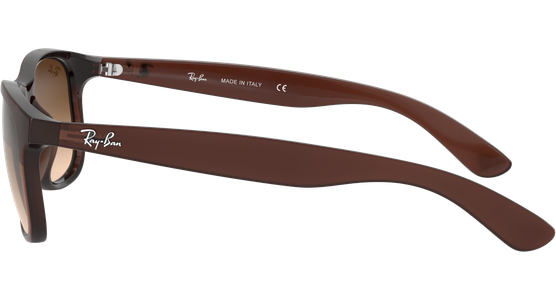 Ray-Ban RB4202 Andy Braun 607313 55 - Ansicht 4